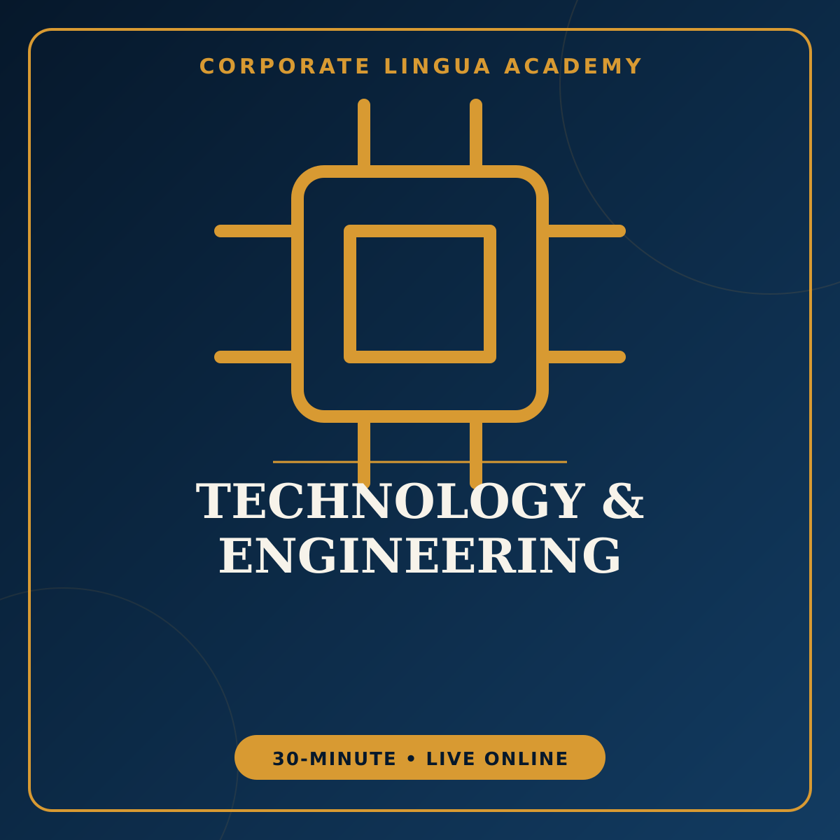 English for Cybersecurity Professionals – private 30-minute online English session