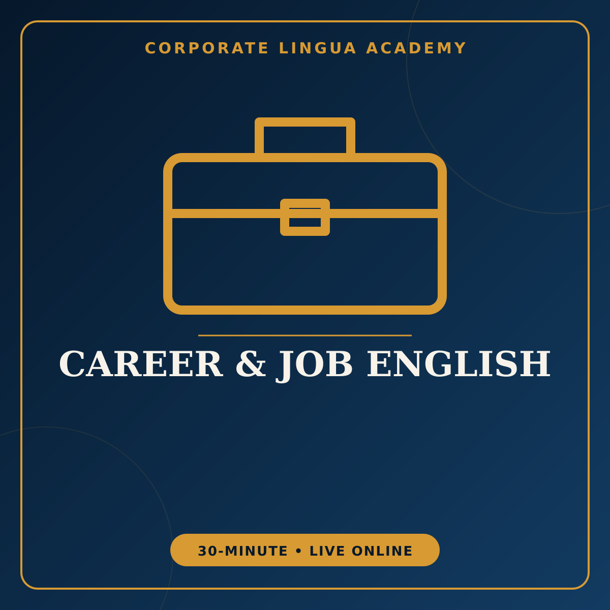 English Presentation Practice – private 30-minute online English session