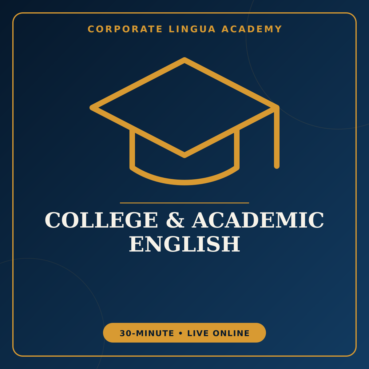 Academic English Speaking – private 30-minute online English session